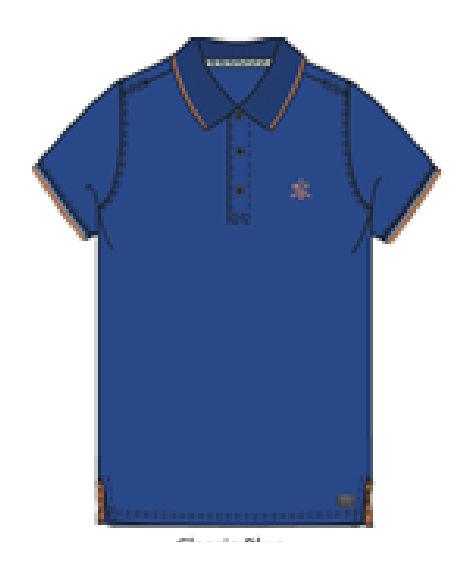 Premium Polo Shirt